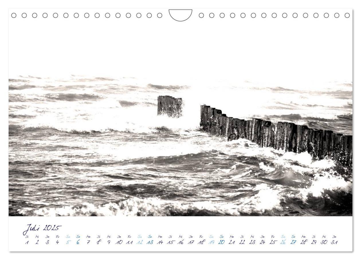 Bild: 9783435734979 | Meeresbilder - Nordsee-Impressionen (Wandkalender 2025 DIN A4...