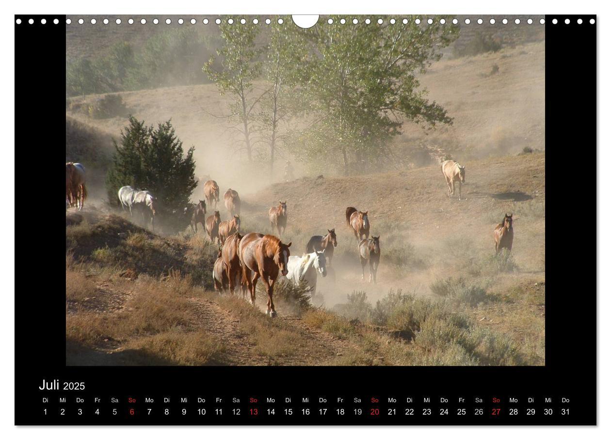 Bild: 9783435630394 | City Slickers - Ranchurlaub (Wandkalender 2025 DIN A3 quer),...