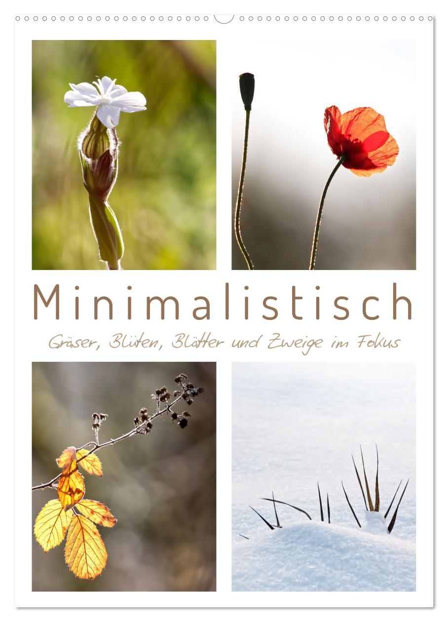 Cover: 9783435906543 | Minimalistisch, Gräser, Blüten, Blätter und Zweige im Fokus...