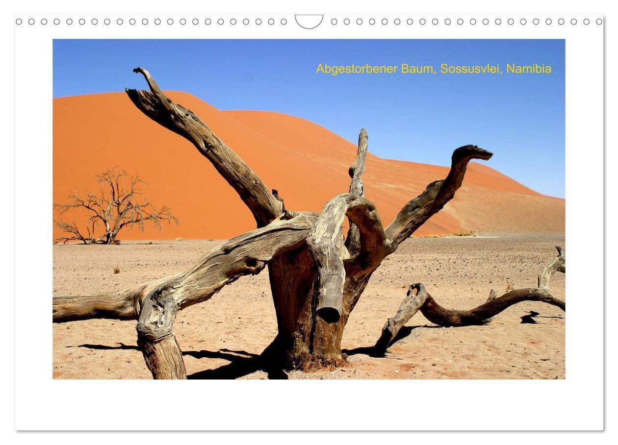 Bild: 9783435543458 | AFRIKA im Süden (Wandkalender 2025 DIN A3 quer), CALVENDO...