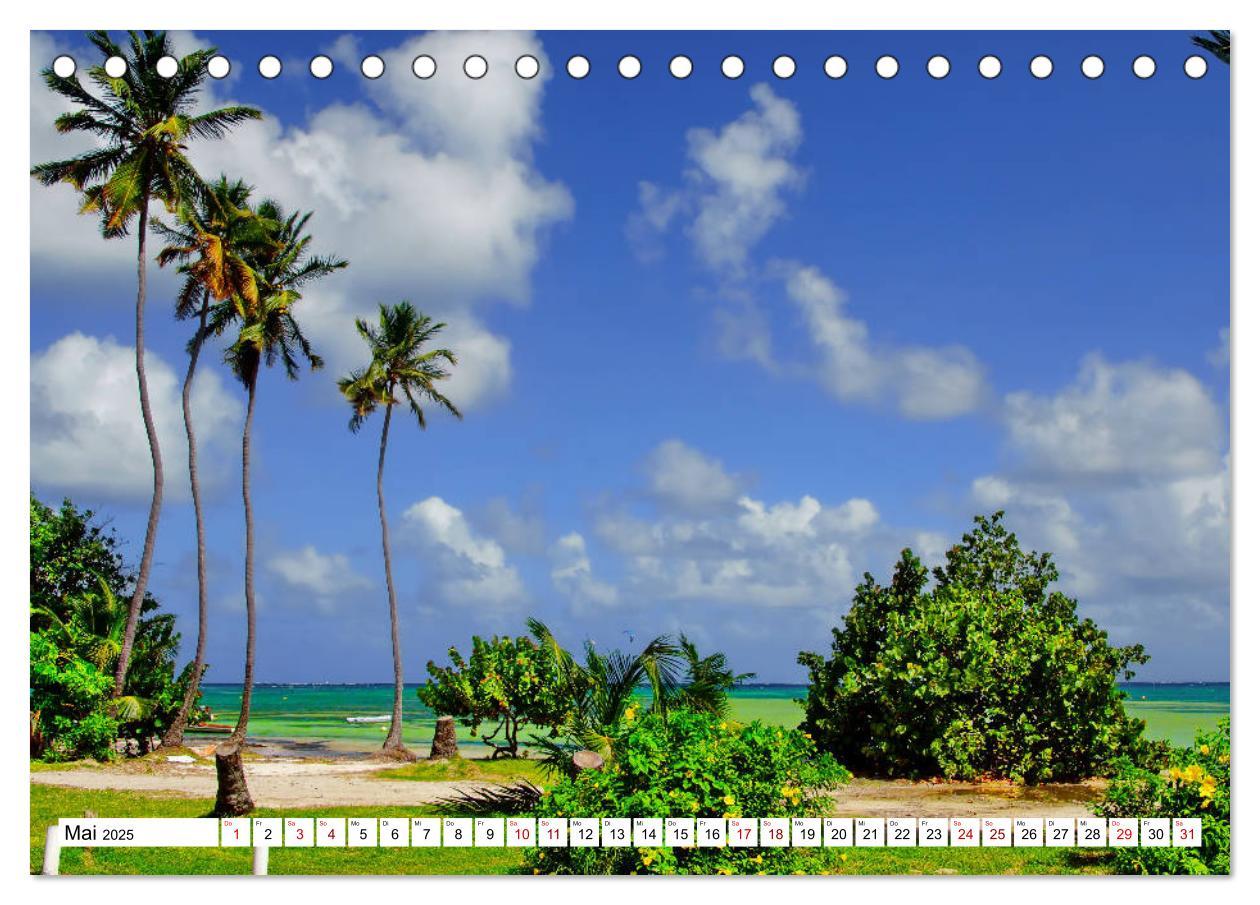 Bild: 9783435378814 | Martinique, die Traumstrände (Tischkalender 2025 DIN A5 quer),...