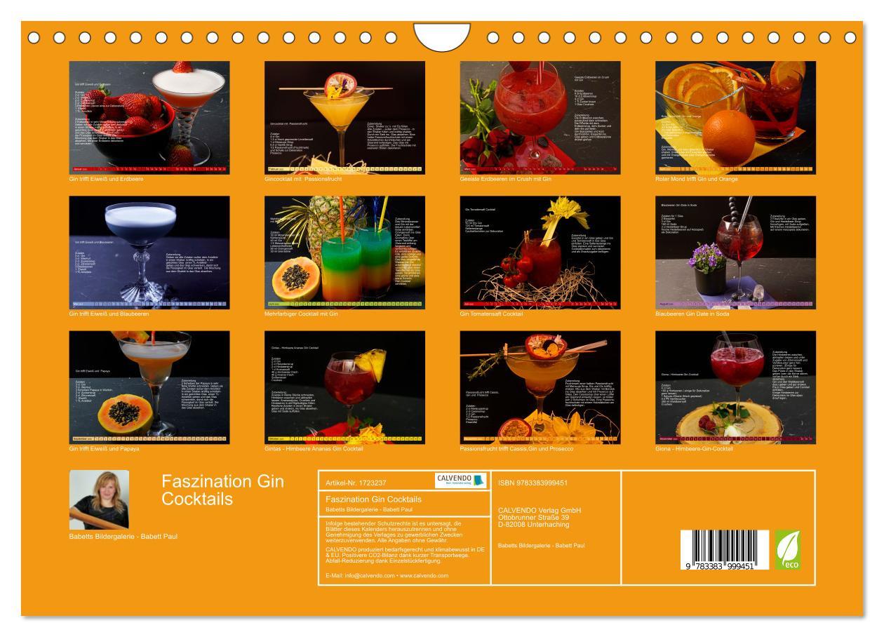 Bild: 9783383999451 | Faszination Gin Cocktails (Wandkalender 2025 DIN A4 quer), CALVENDO...