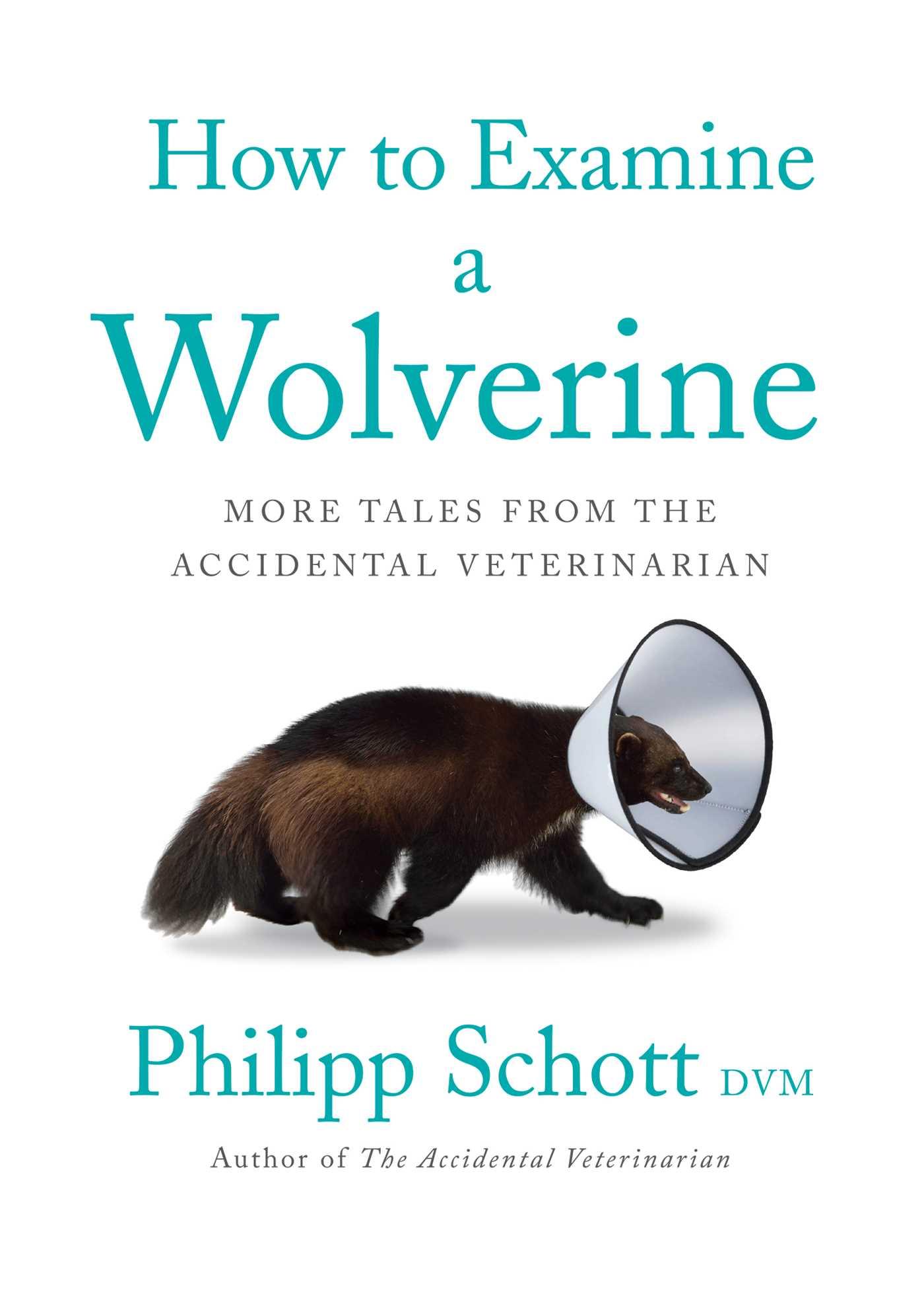 Cover: 9781770415881 | How to Examine a Wolverine | Philipp Schott | Taschenbuch | Englisch