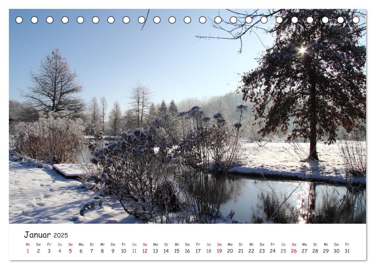 Bild: 9783435077489 | Zauberhaftes Ammerland (Tischkalender 2025 DIN A5 quer), CALVENDO...