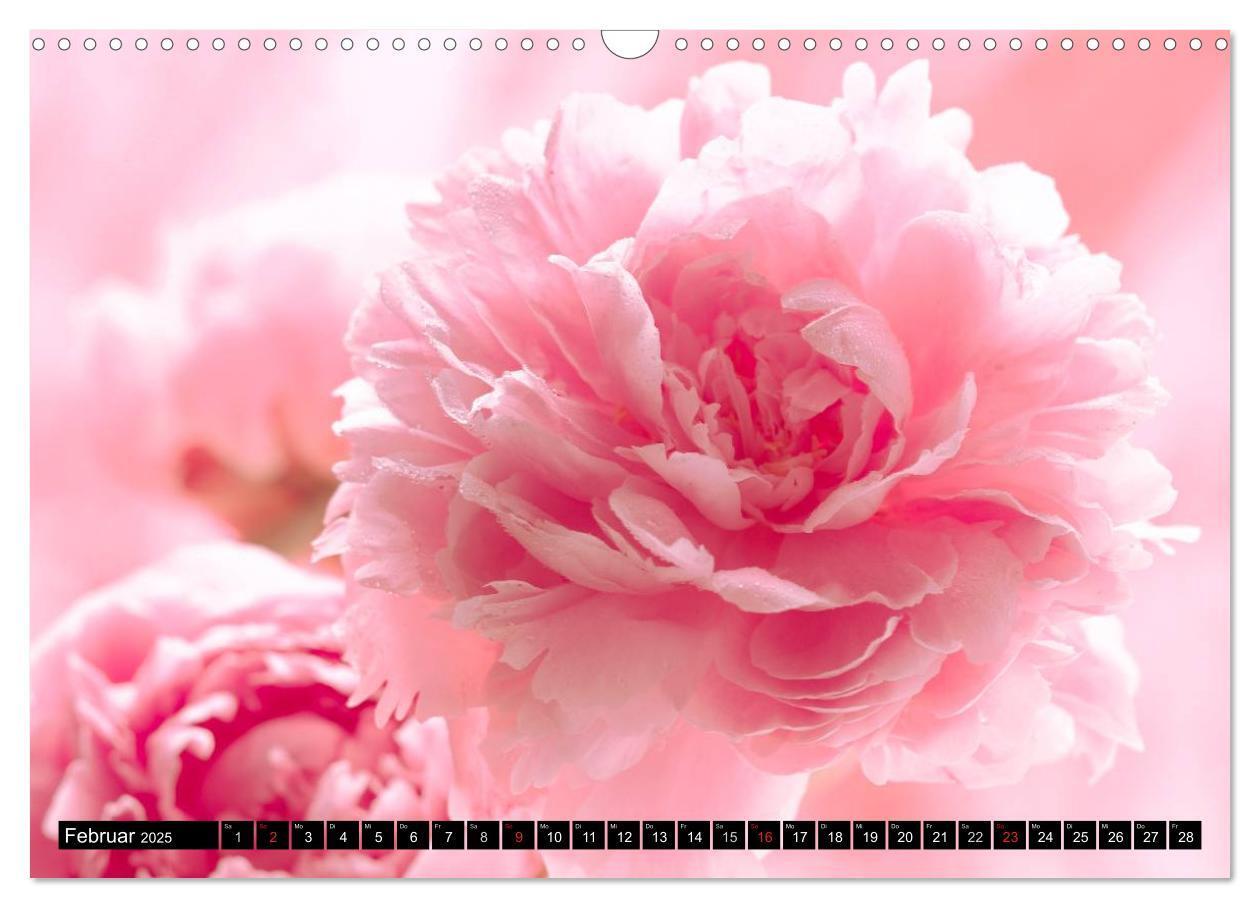 Bild: 9783435770274 | Flowers / 2025 (Wandkalender 2025 DIN A3 quer), CALVENDO...