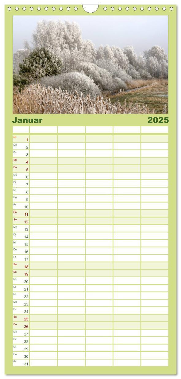 Bild: 9783457126318 | Familienplaner 2025 - Baum-Variationen mit 5 Spalten (Wandkalender,...