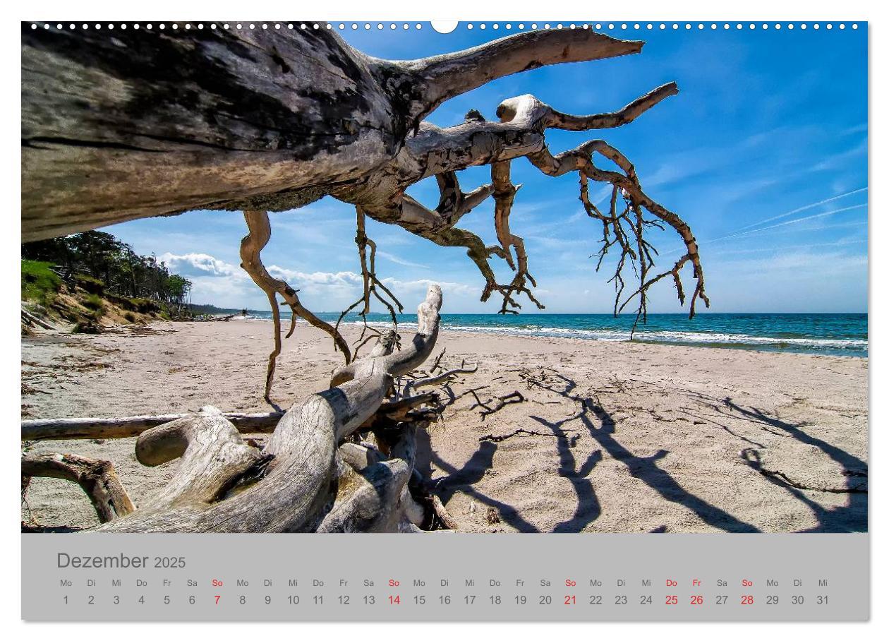 Bild: 9783435701469 | Ostsee, Fischland-Darß (Wandkalender 2025 DIN A2 quer), CALVENDO...