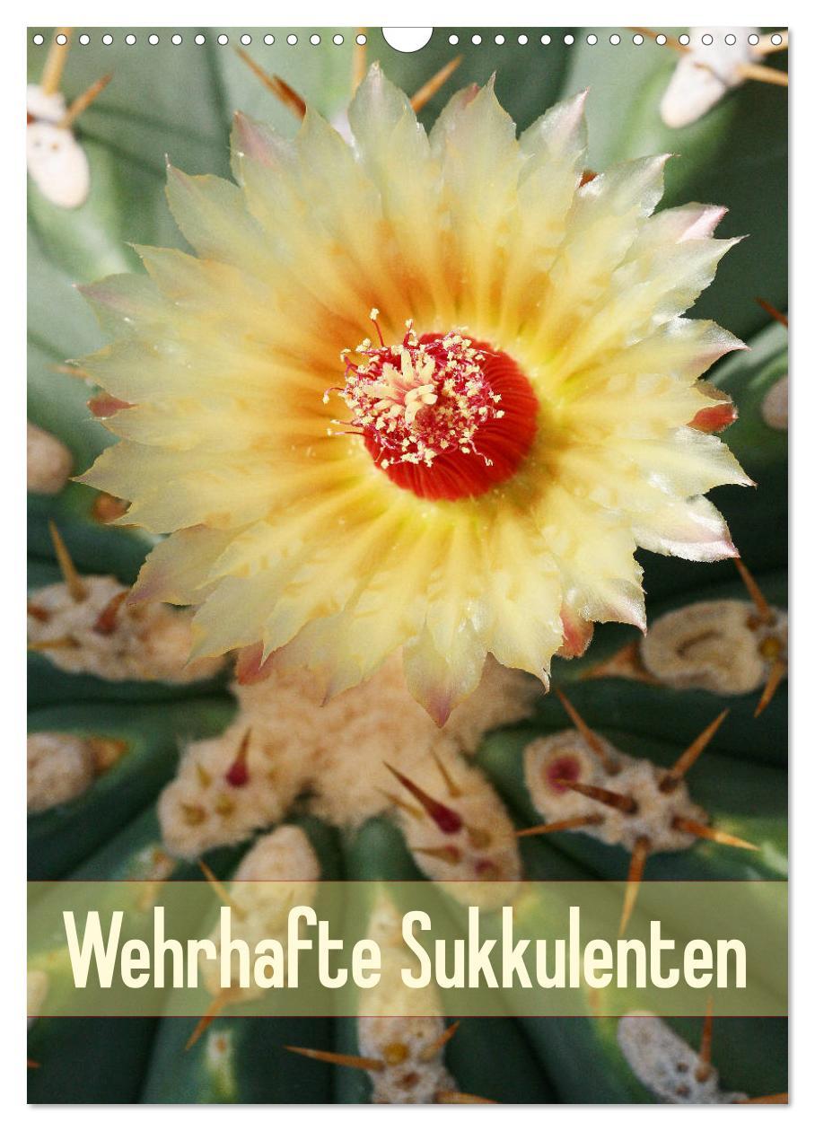 Cover: 9783435969685 | Wehrhafte Sukkulenten (Wandkalender 2025 DIN A3 hoch), CALVENDO...