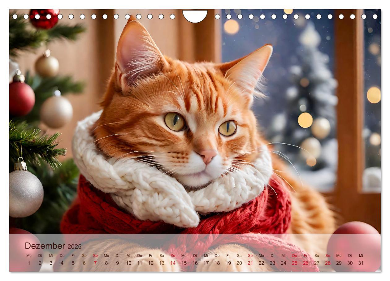 Bild: 9783383817830 | Rote Katzen (Wandkalender 2025 DIN A4 quer), CALVENDO Monatskalender