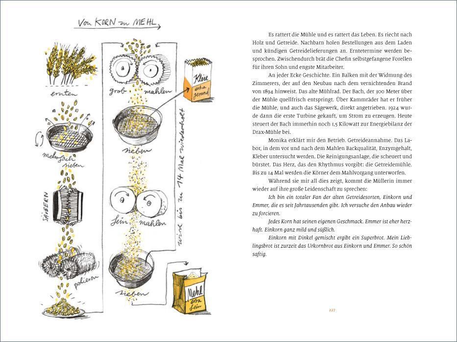 Bild: 9783458177258 | Brot | Auf der Suche nach dem Duft des Lebens | Walter Mayer | Buch