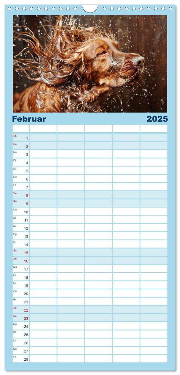 Bild: 9783457195499 | Familienplaner 2025 - Hunde und Wasser mit 5 Spalten (Wandkalender,...