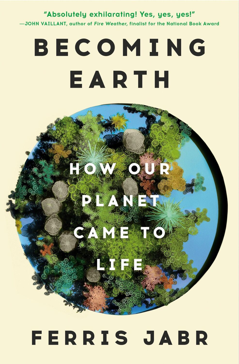 Cover: 9780593133972 | Becoming Earth | How Our Planet Came to Life | Ferris Jabr | Buch