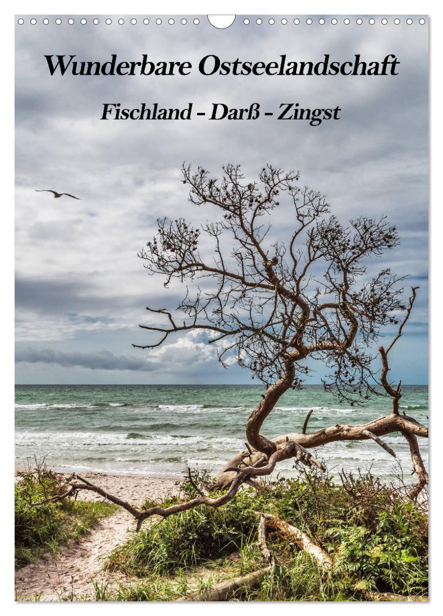 Cover: 9783435956272 | Wunderbare Ostseelandschaft Fischland-Darß-Zingst (Wandkalender...