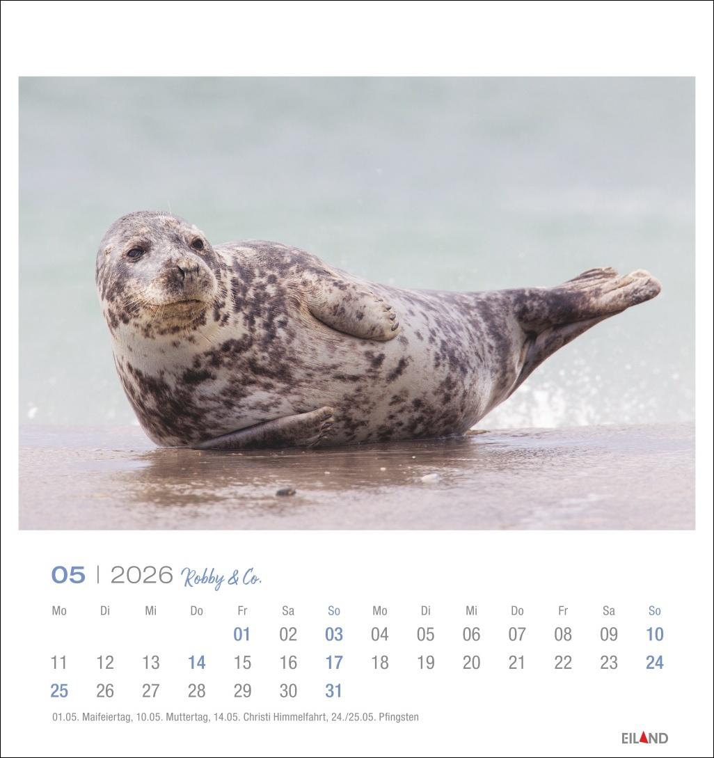 Bild: 9783964024107 | Robby &amp; Co. Postkartenkalender 2026 | Kalender | Spiralbindung | 13 S.