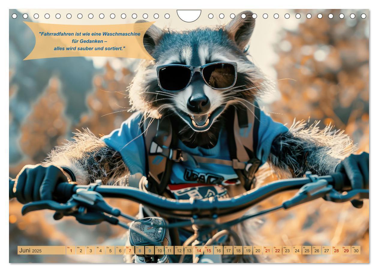 Bild: 9783457154311 | Der tierisch lustige Fahrradkalender (Wandkalender 2025 DIN A4...