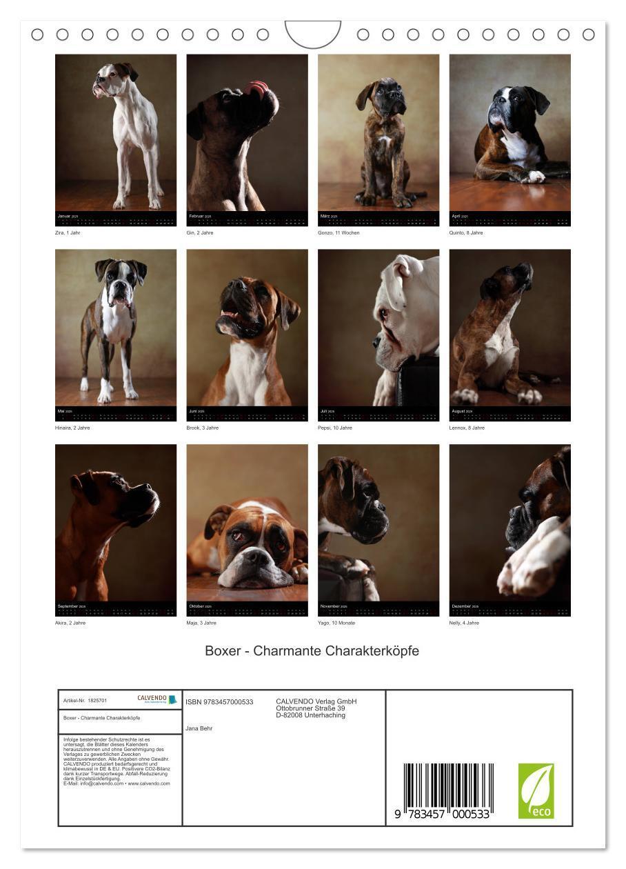 Bild: 9783457000533 | Boxer - Charmante Charakterköpfe (Wandkalender 2025 DIN A4 hoch),...