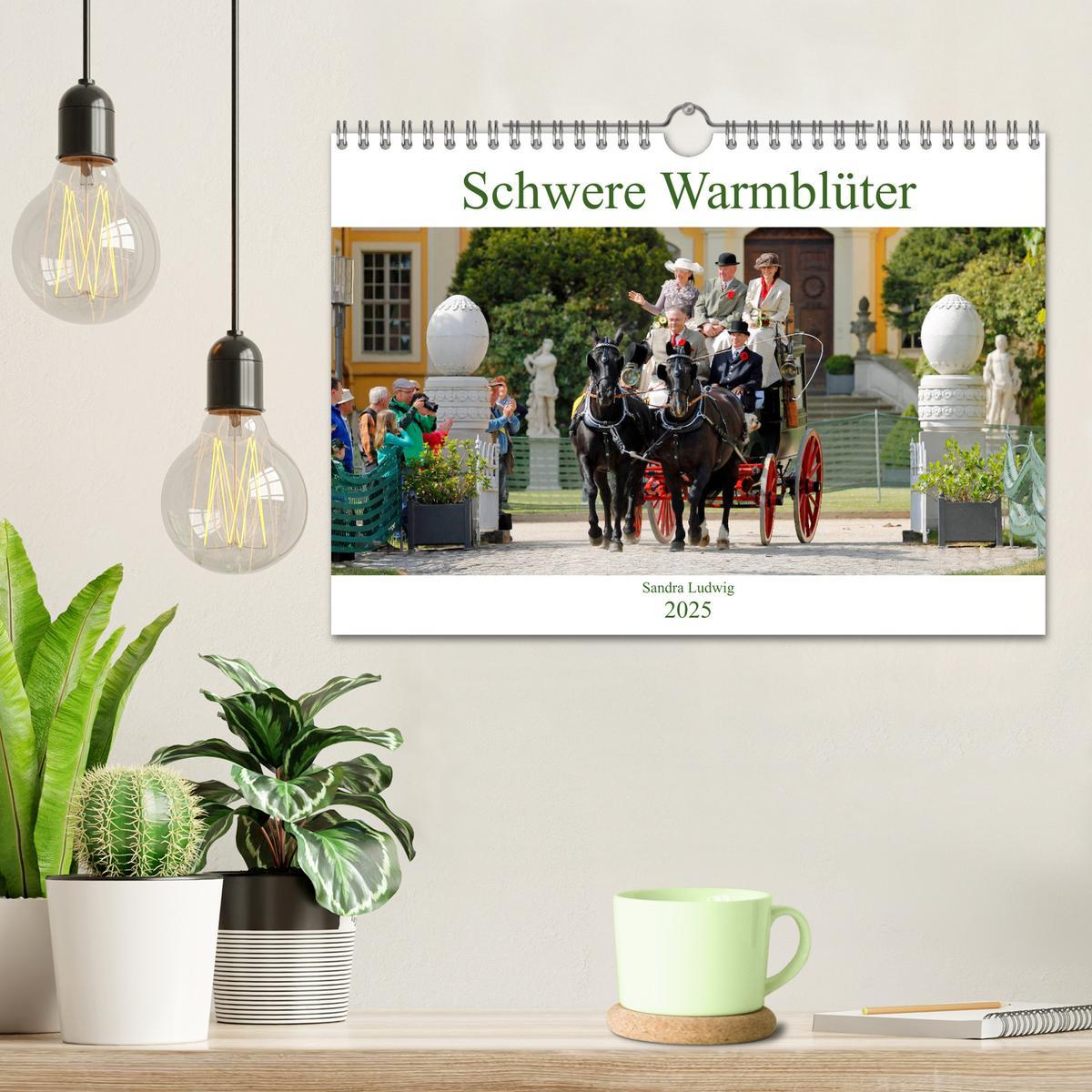 Bild: 9783435395590 | Schwere Warmblüter 2025 (Wandkalender 2025 DIN A4 quer), CALVENDO...