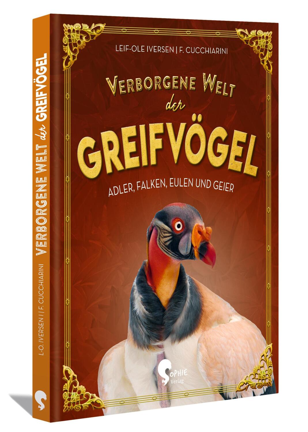 Cover: 9783968080345 | Verborgene Welt der Greifvögel | Adler, Falken, Eulen und Geier | Buch