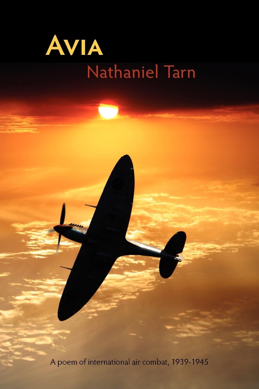 Cover: 9781848610026 | Avia | Nathaniel Tarn | Taschenbuch | Paperback | Englisch | 2008