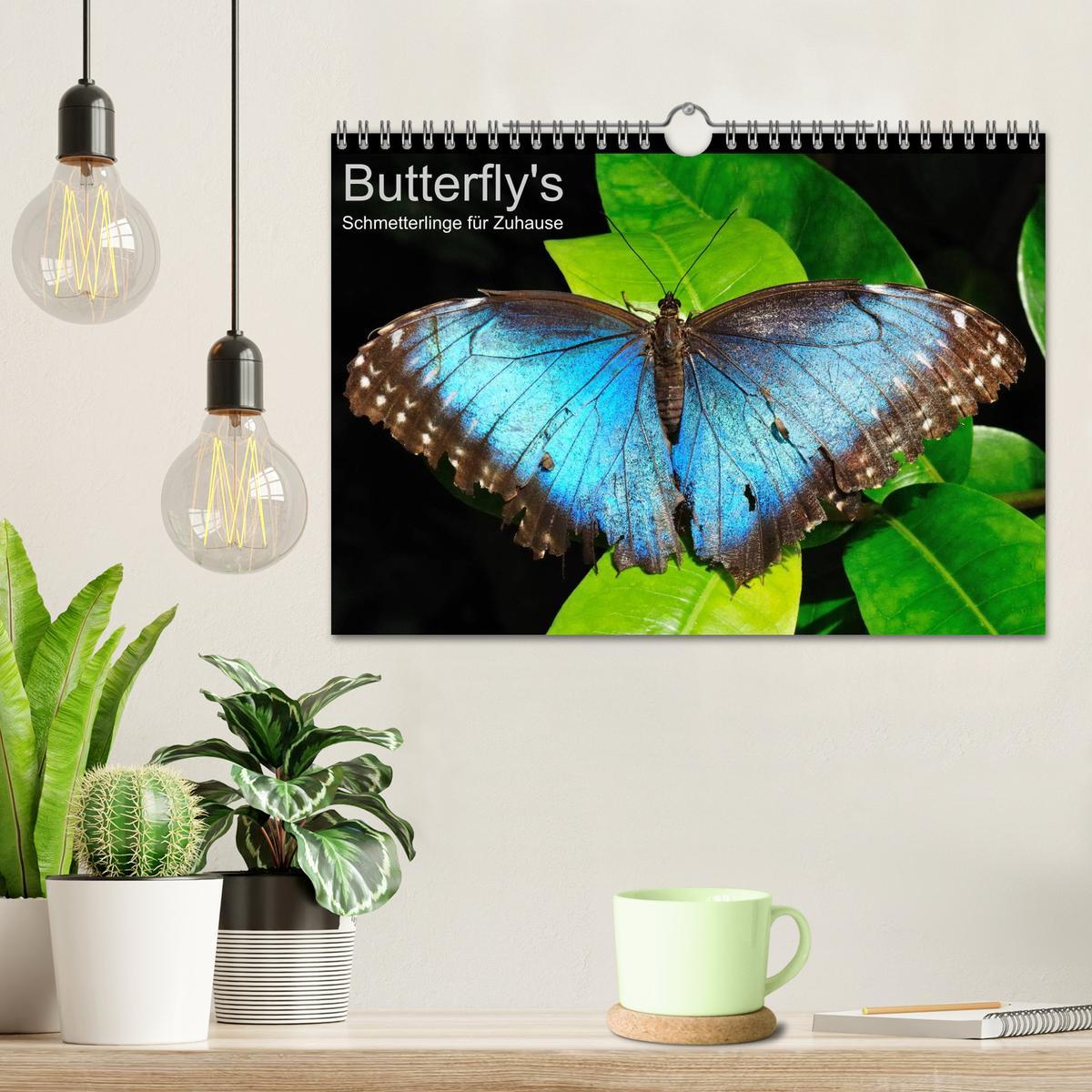 Bild: 9783435812813 | Butterfly's - Schmetterlinge für Zuhause (Wandkalender 2025 DIN A4...