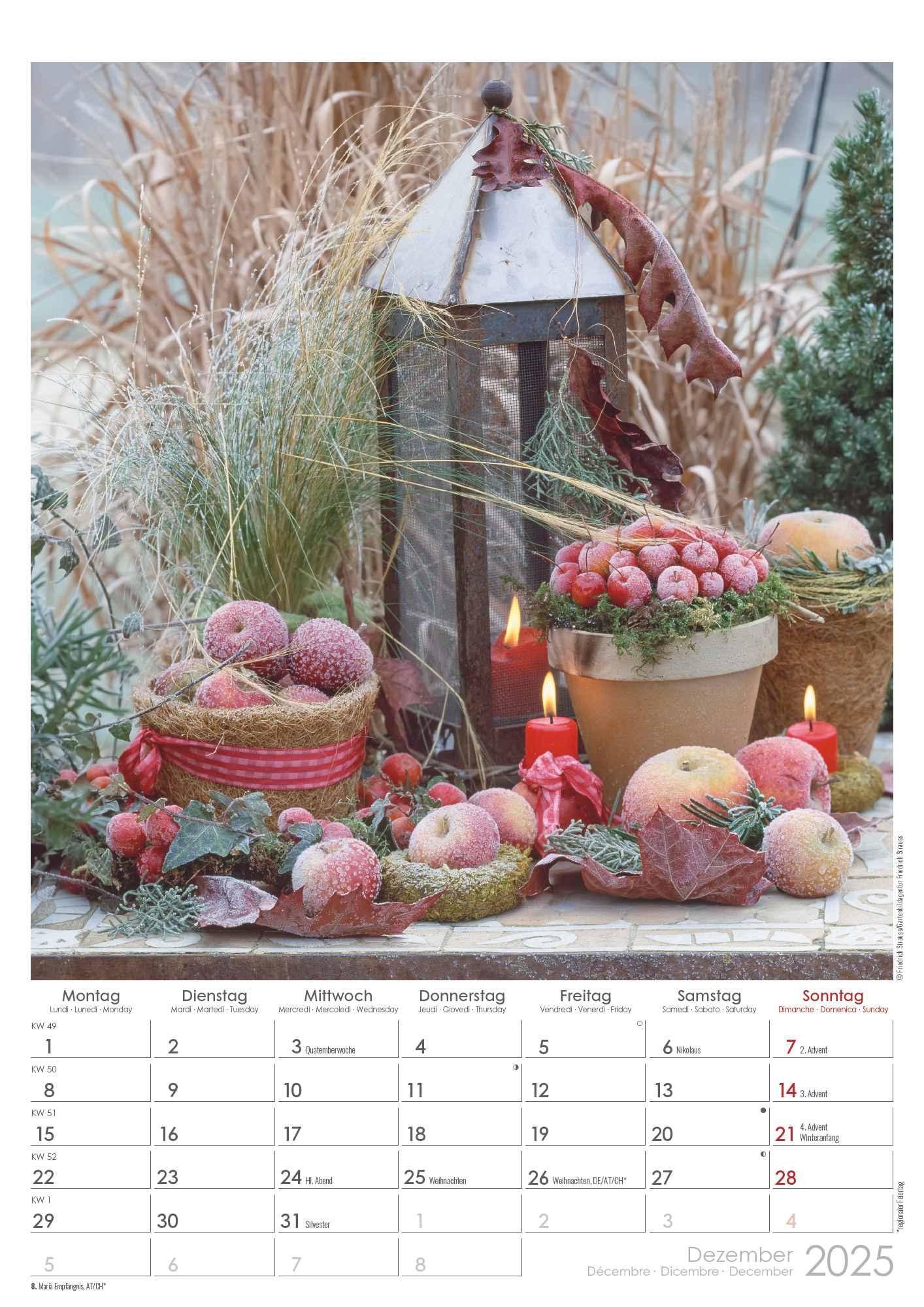 Bild: 4251732342036 | Landhaus 2025 - Bildkalender A3 (29,7x42 cm) - Country House - mit...