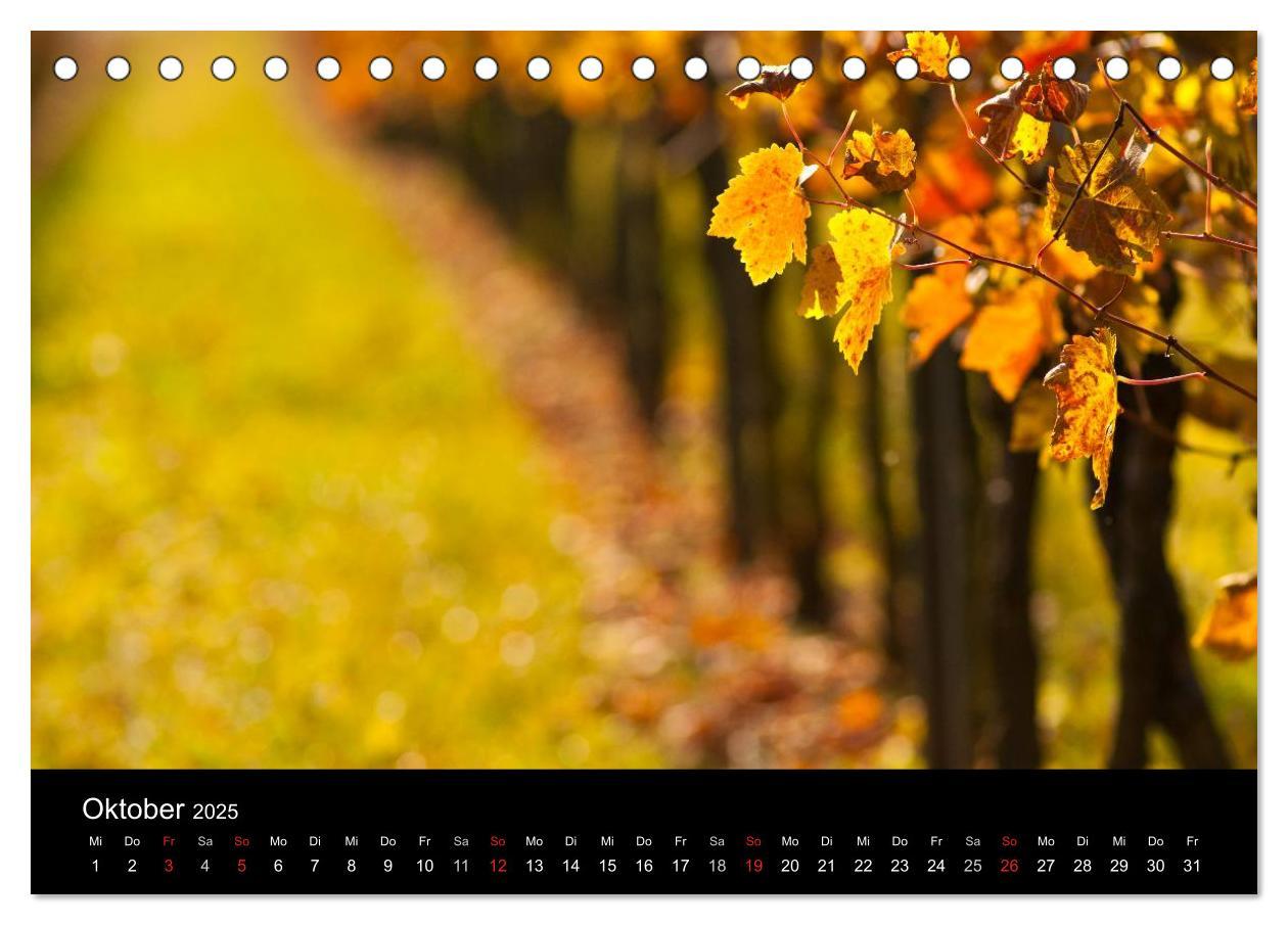 Bild: 9783435718405 | Weinberge im Remstal (Tischkalender 2025 DIN A5 quer), CALVENDO...