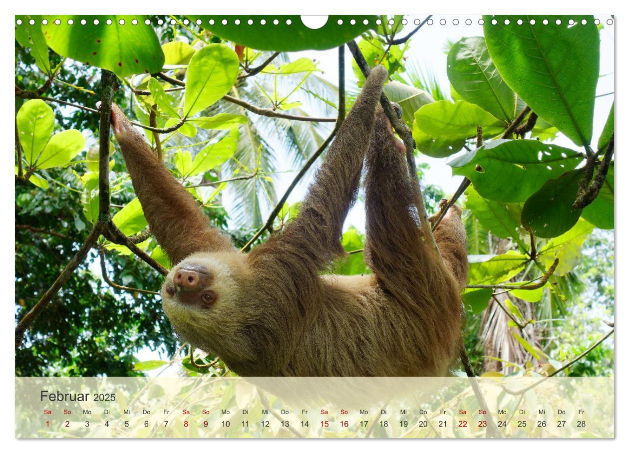 Bild: 9783383841439 | Bekanntes und Unbekanntes Costa Rica (Wandkalender 2025 DIN A3...