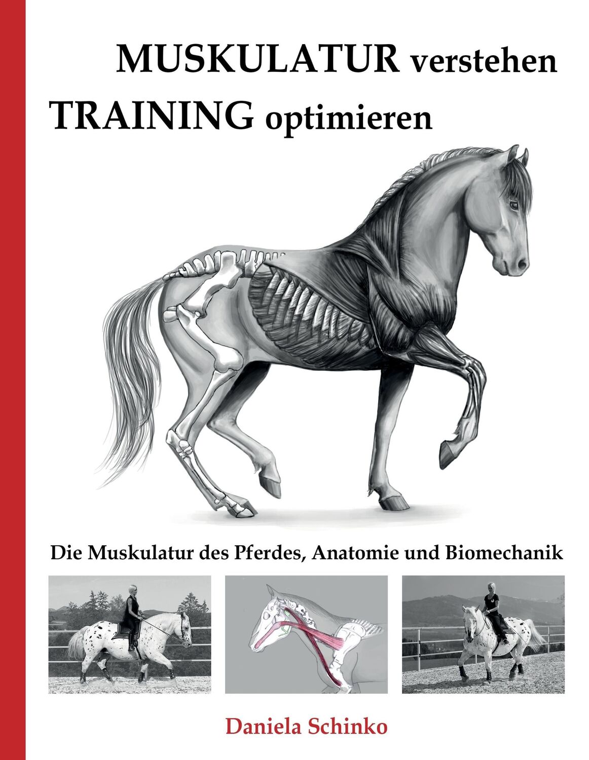 Cover: 9783743118119 | Muskulatur verstehen - Training optimieren | Daniela Schinko | Buch