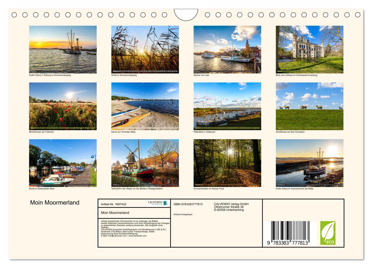 Bild: 9783383777813 | Moin Moormerland (Wandkalender 2025 DIN A4 quer), CALVENDO...