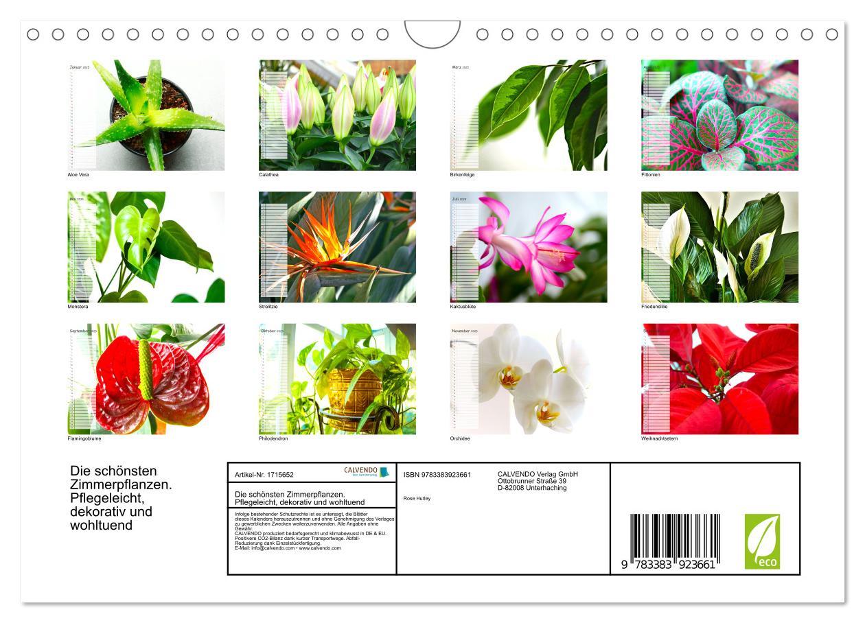 Bild: 9783383923661 | Die schönsten Zimmerpflanzen. Pflegeleicht, dekorativ und wohltuend...
