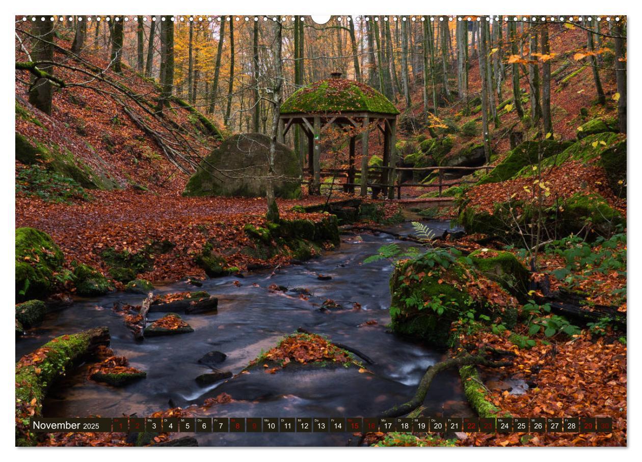 Bild: 9783435148899 | Augenschmaus Pfälzer Wald (Wandkalender 2025 DIN A2 quer), CALVENDO...