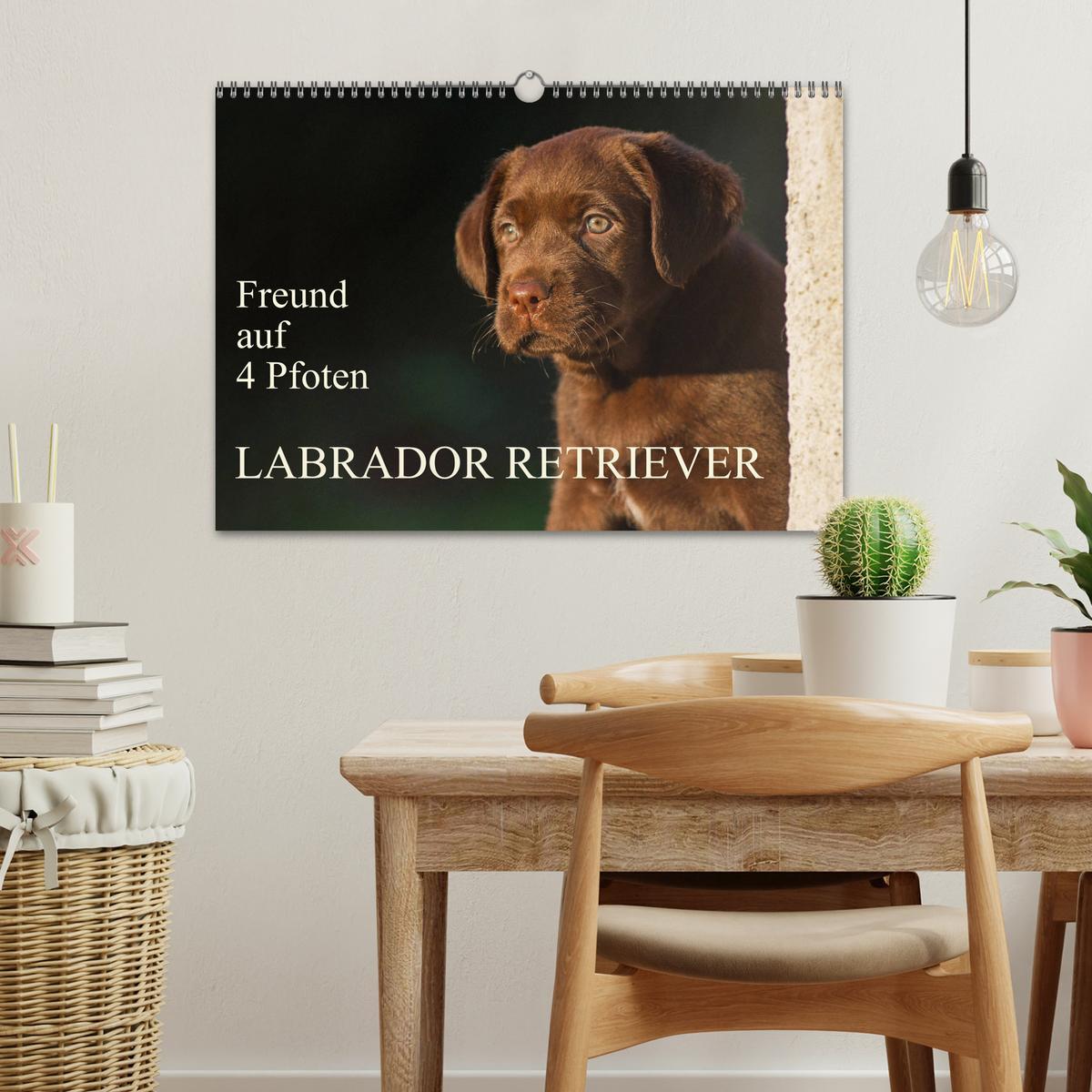 Bild: 9783435312658 | Freund auf 4 Pfoten - Labrador Retriever (Wandkalender 2025 DIN A3...