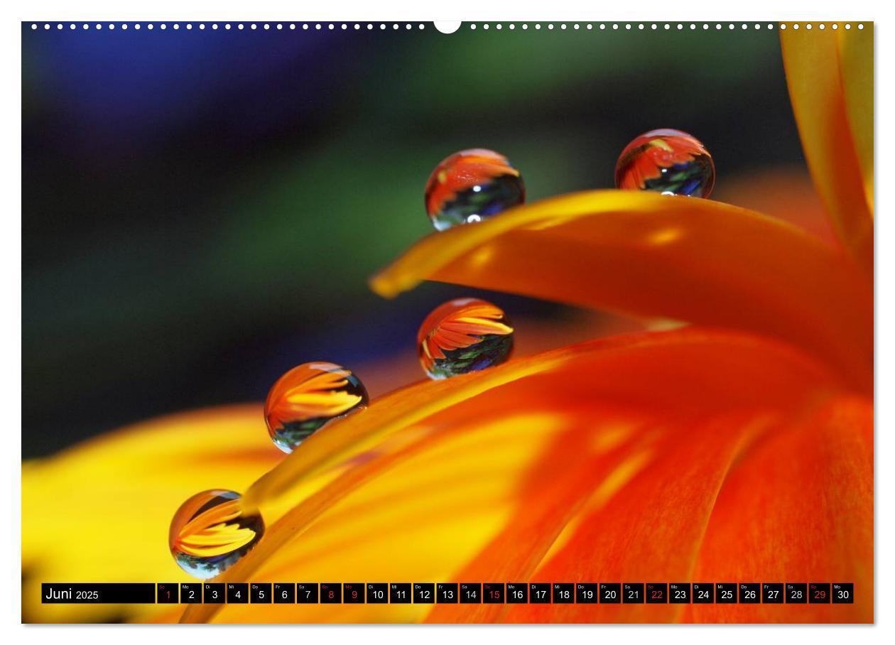 Bild: 9783435550012 | Wassertropfen - Diamanten des Lebens (Wandkalender 2025 DIN A2...