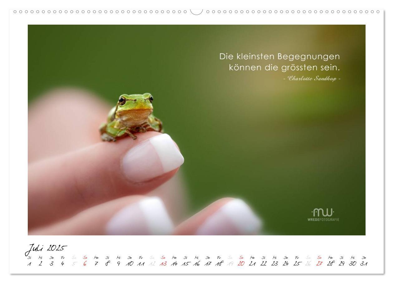 Bild: 9783435657629 | Gedanken... Bildkalender mit Sprüchen (Wandkalender 2025 DIN A2...