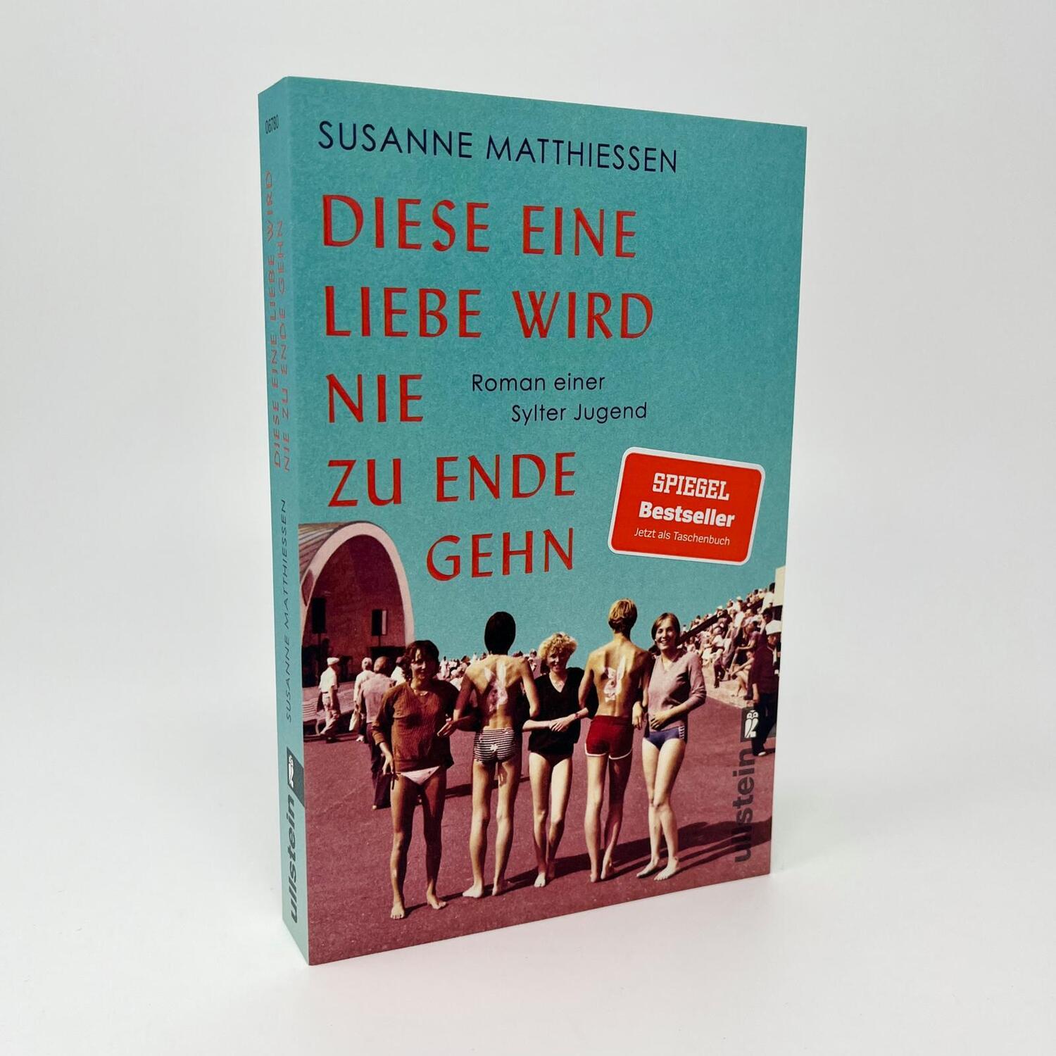 Bild: 9783548067803 | Diese eine Liebe wird nie zu Ende gehn | Susanne Matthiessen | Buch