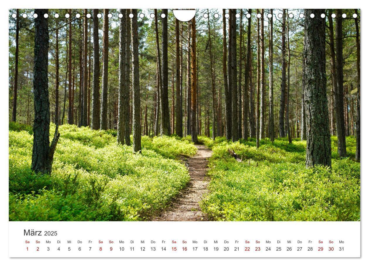 Bild: 9783435002337 | Estland - Ein unbekanntes Paradies. (Wandkalender 2025 DIN A4...