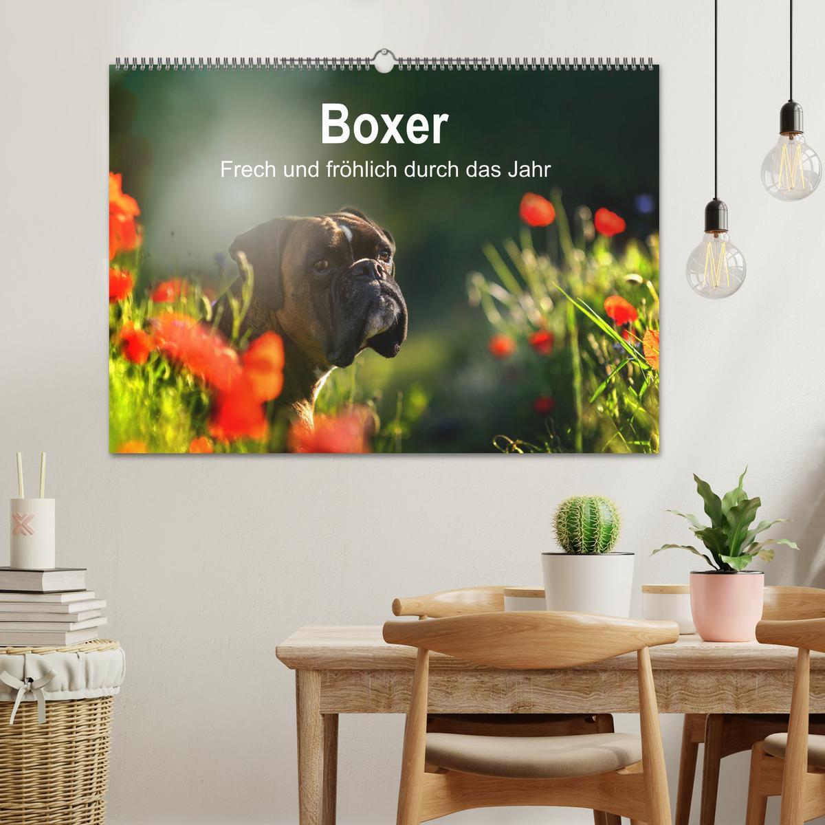 Bild: 9783435110452 | Boxer Frech und fröhlich durch das Jahr (Wandkalender 2025 DIN A2...