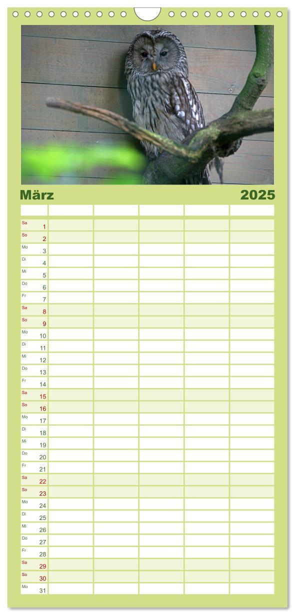 Bild: 9783457119211 | Familienplaner 2025 - Eulen mit 5 Spalten (Wandkalender, 21 x 45...