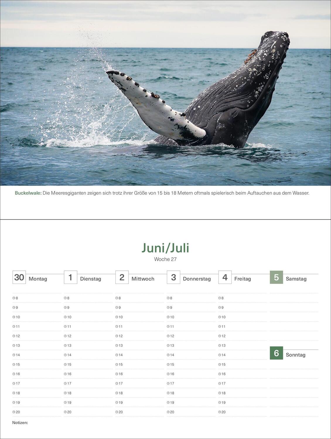 Bild: 9783965913776 | Magische Orte - KUNTH Tischkalender 2025 | Kalender | 54 S. | Deutsch