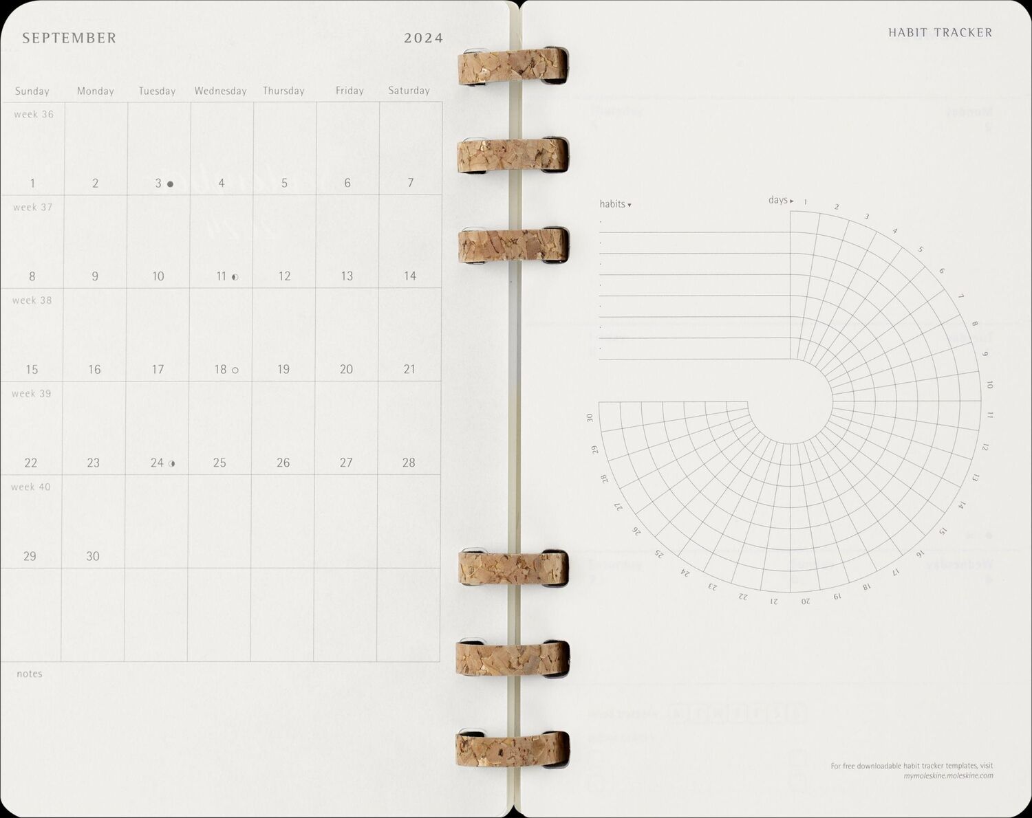 Bild: 8056999271701 | Moleskine 12 Monate Studienplaner mit Spiralbindung 2025, L/A5,...