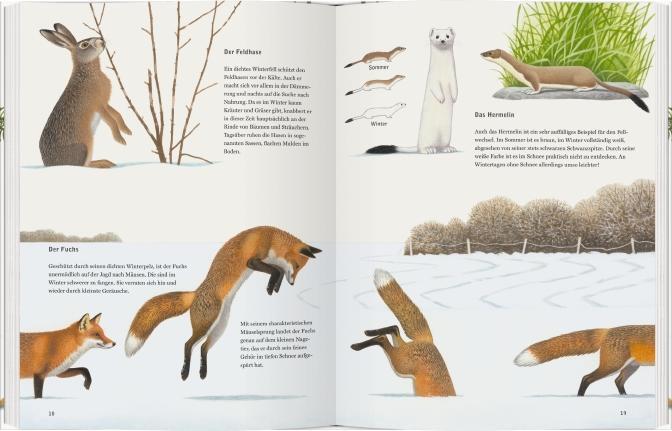 Bild: 9783836959353 | Schneehuhn, Reh und Haselmaus | Tiere im Winter | Thomas Müller | Buch