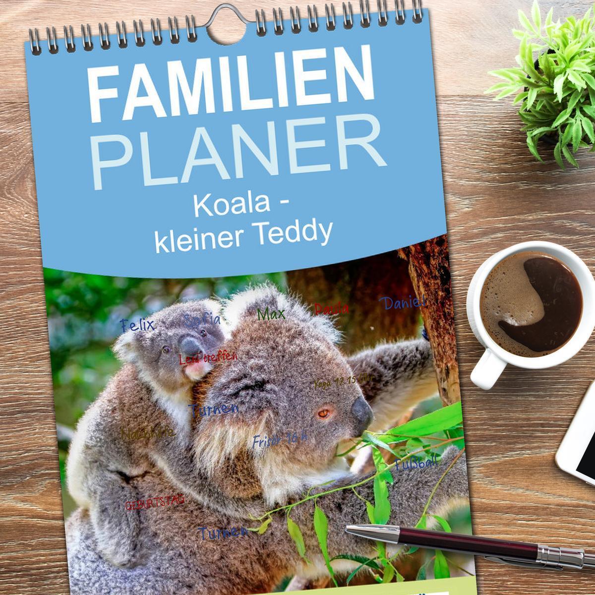 Bild: 9783457126486 | Familienplaner 2025 - Koala - kleiner Teddy mit 5 Spalten...