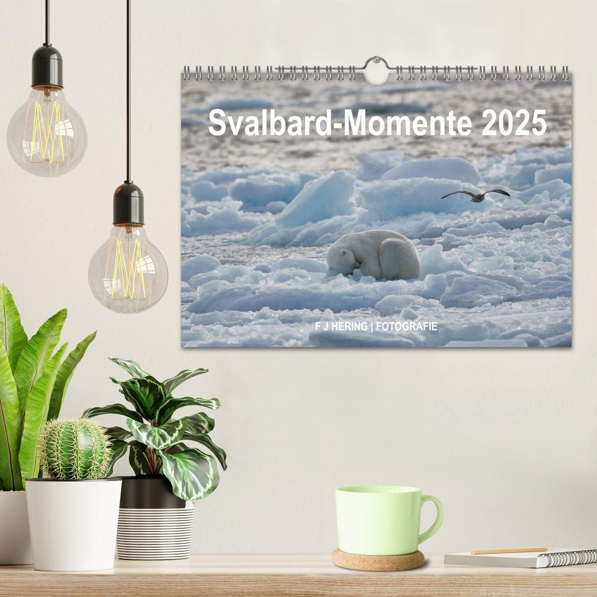 Bild: 9783435305360 | Svalbard-Momente (Wandkalender 2025 DIN A4 quer), CALVENDO...