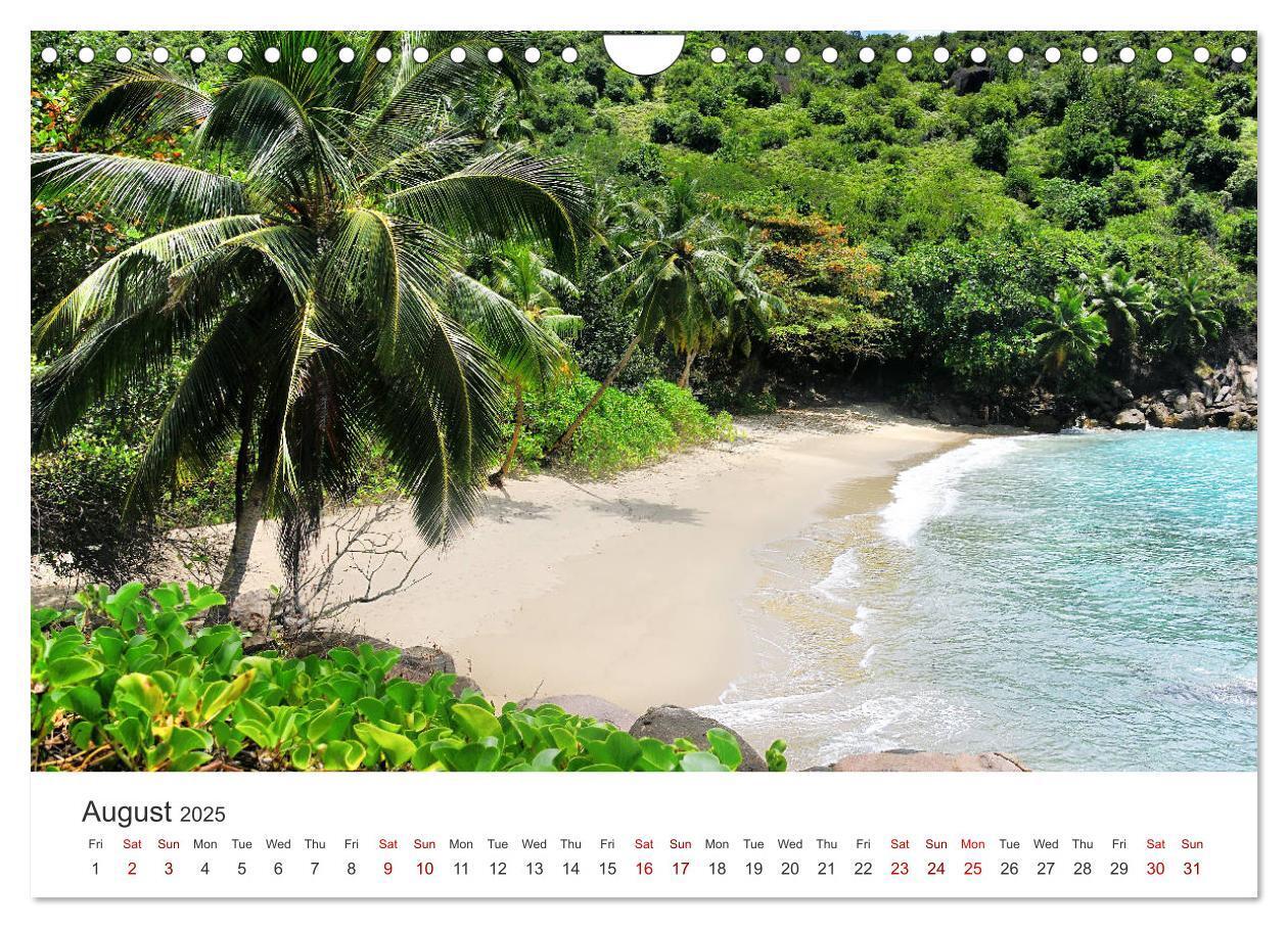 Bild: 9781325949410 | Dreamy Beaches of the Seychelles (Wall Calendar 2025 DIN A4...