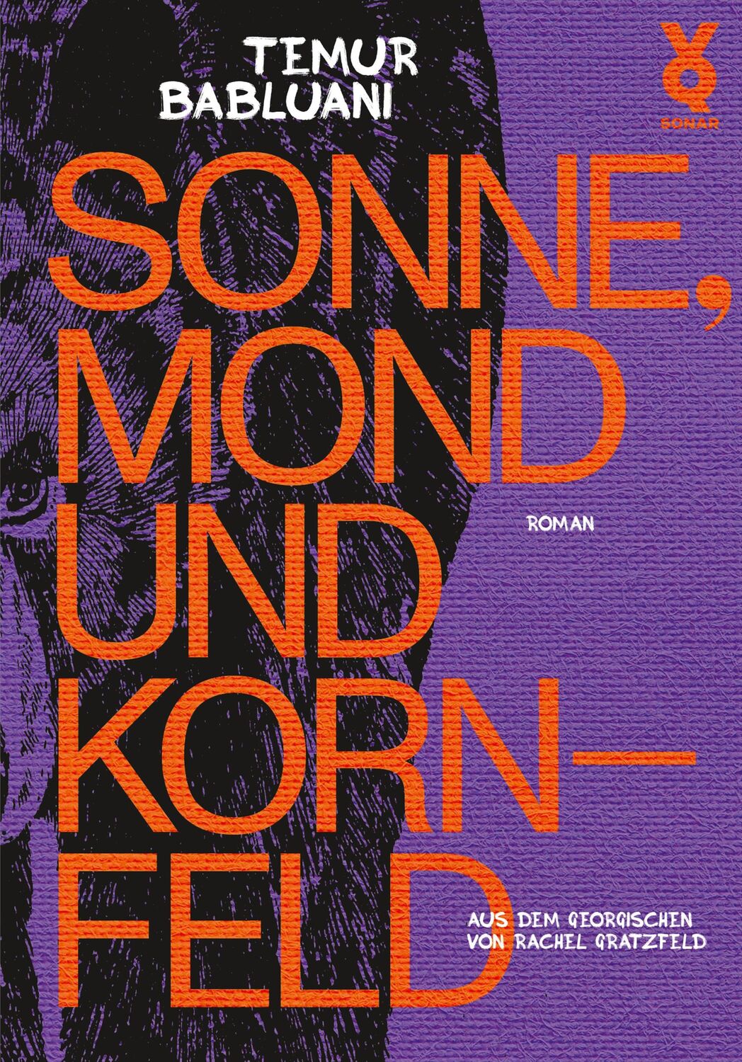 Cover: 9783863913489 | Sonne, Mond und Kornfeld | Temur Babluani | Buch | 546 S. | Deutsch