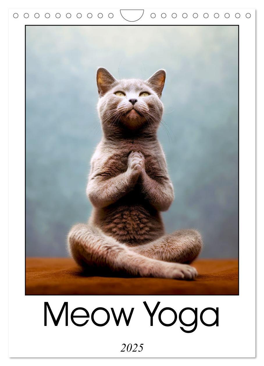 Cover: 9781325998203 | Meow Yoga (Wall Calendar 2025 DIN A4 portrait), CALVENDO 12 Month...