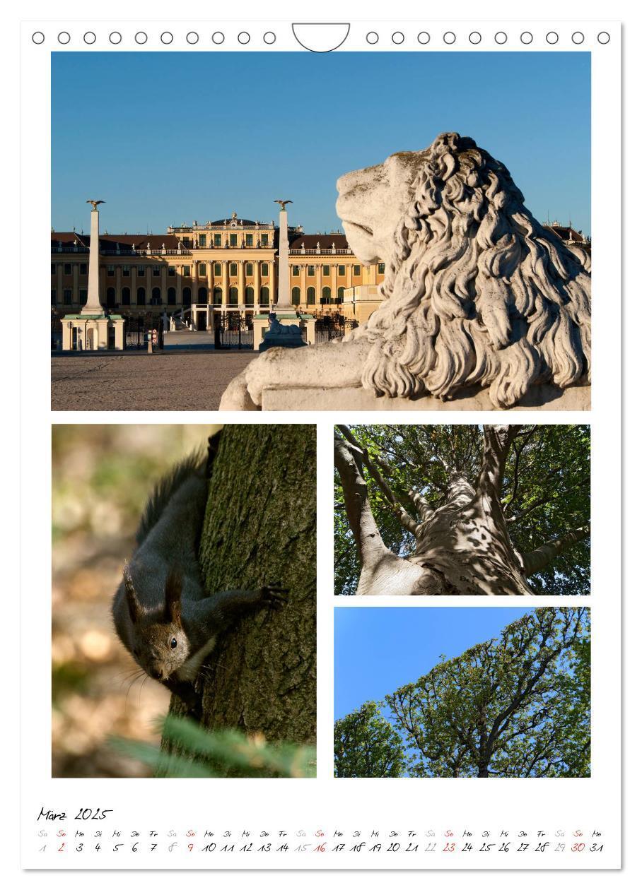 Bild: 9783457073827 | Schloss Schönbrunn im Wandel der Jahreszeiten (Wandkalender 2025...