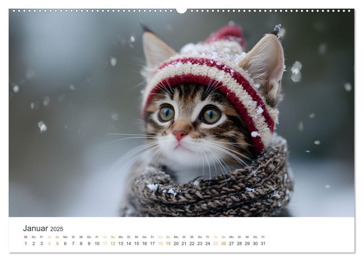 Bild: 9783457208014 | Zauberhafte Katzenbabys (Wandkalender 2025 DIN A2 quer), CALVENDO...