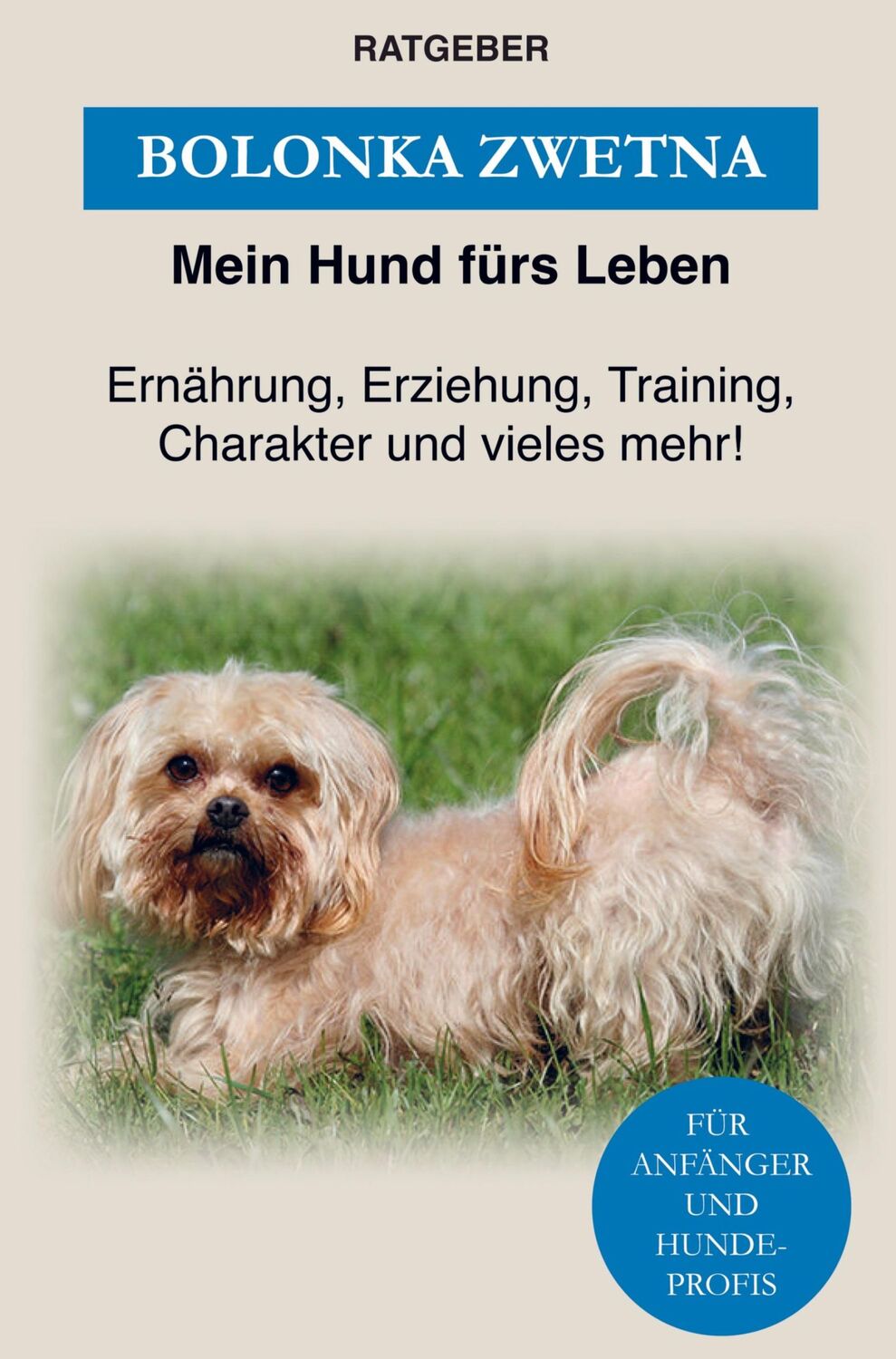 Cover: 9789403619149 | Bolonka Zwetna | Mein Hund fürs Leben Ratgeber | Taschenbuch | 100 S.