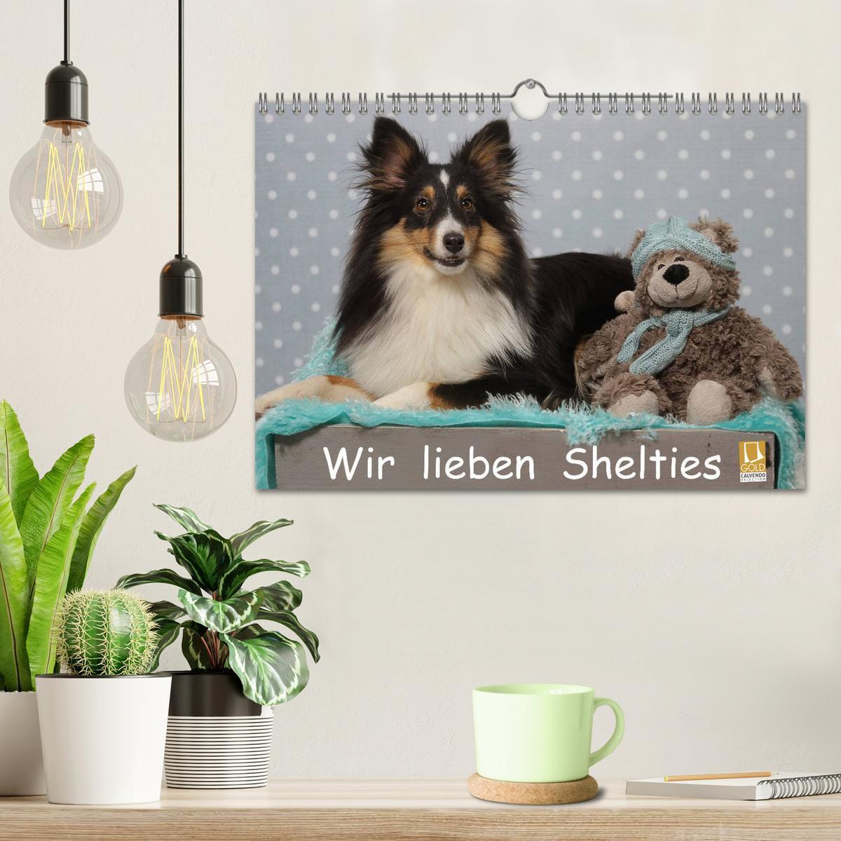 Bild: 9783435606795 | Wir lieben Shelties (Wandkalender 2025 DIN A4 quer), CALVENDO...